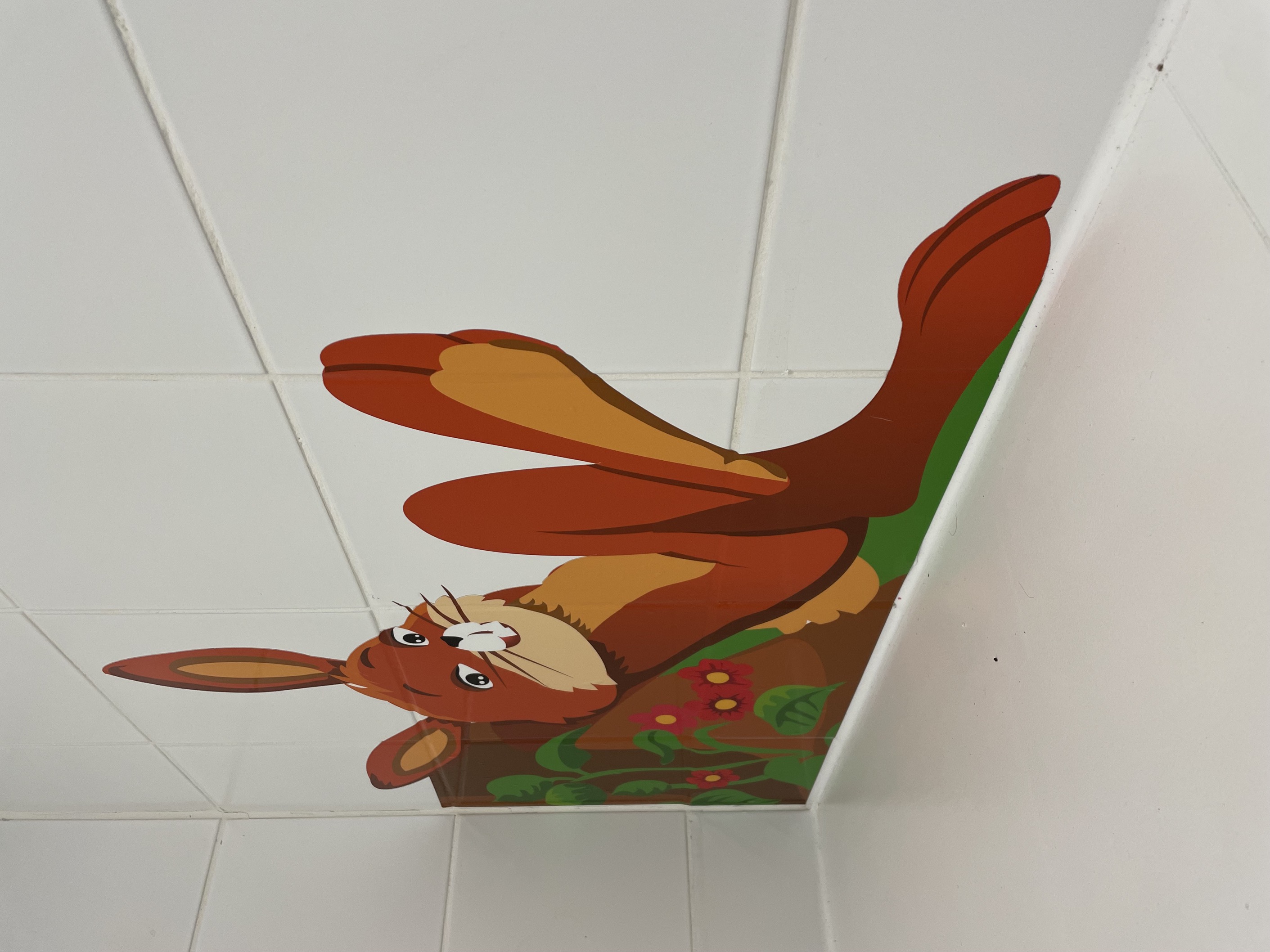 eduplay-muursticker-divers-5.jpeg