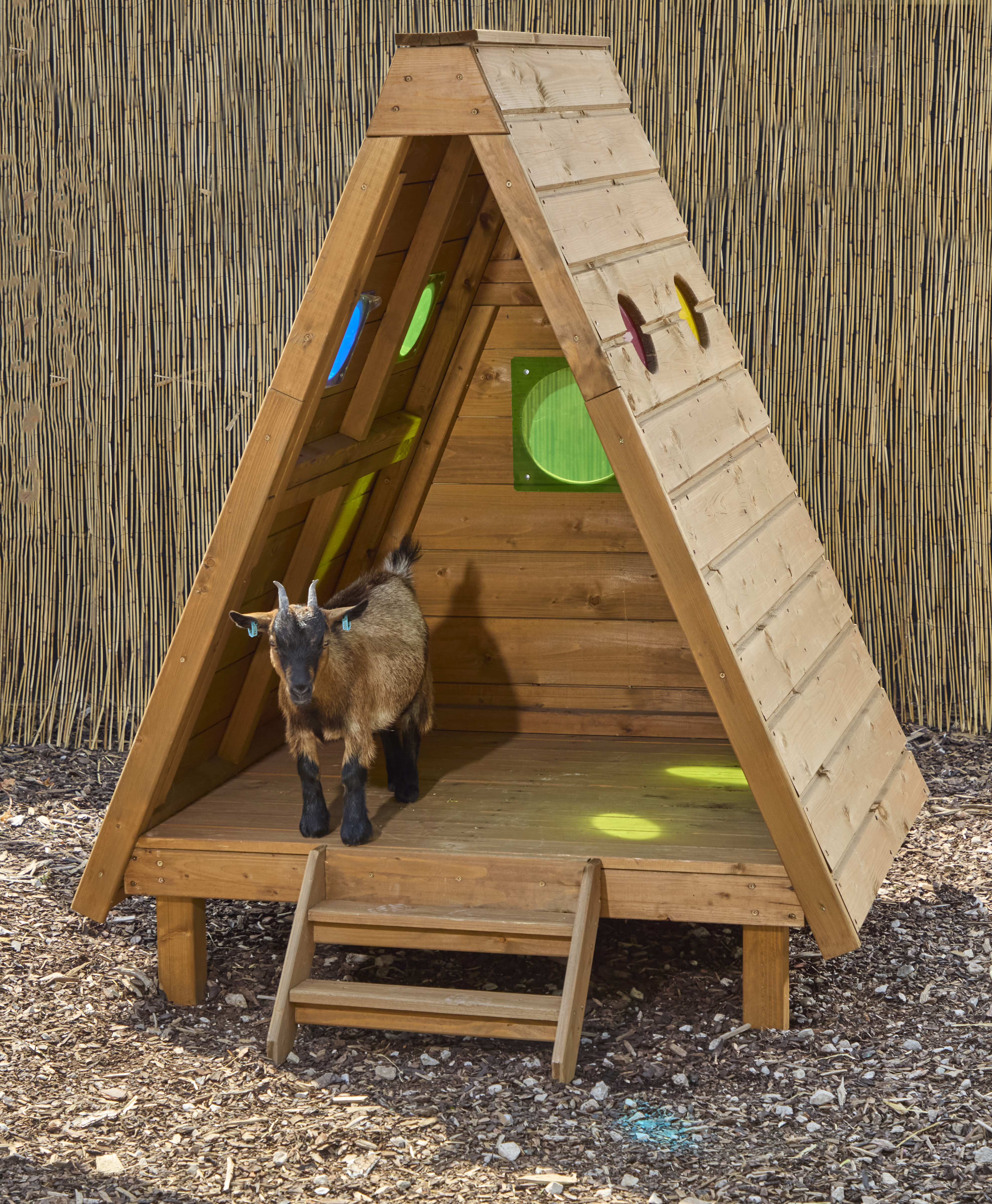 Eduplay-Cabane-forestière-extérieure-avec-fenêtres-panoramique.jpg